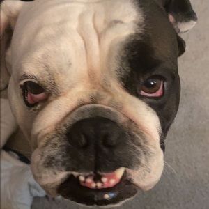 Meet your Posher, Stefani